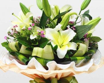 香水百合的花语与寓意（揭秘香水百合的神秘语言）