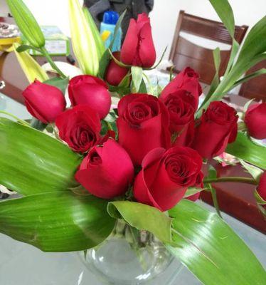 玫瑰家庭（走进爱的花园）