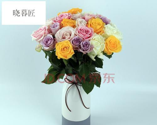 玫瑰家庭（走进爱的花园）