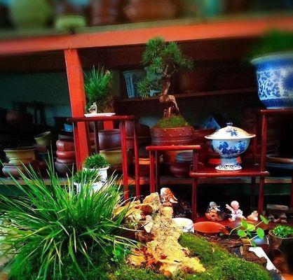 菖蒲的象征与寓意（菖蒲花的传统象征意义与文化内涵）