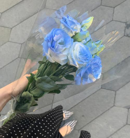 桔梗花语的世界（揭秘桔梗花语的多彩世界）