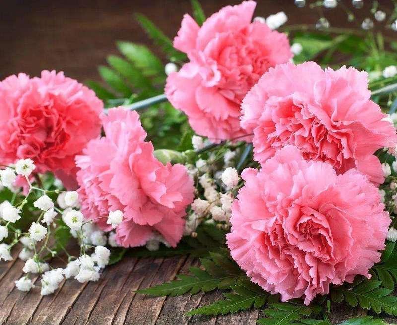 父爱如花（盛开的父爱之花绽放在心间）