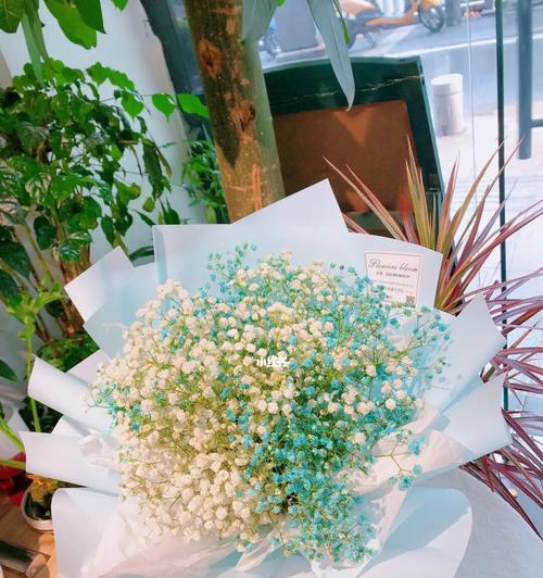 满天星花的神奇传说（追寻爱情与幸福的秘密之花——满天星花的花语与传说）