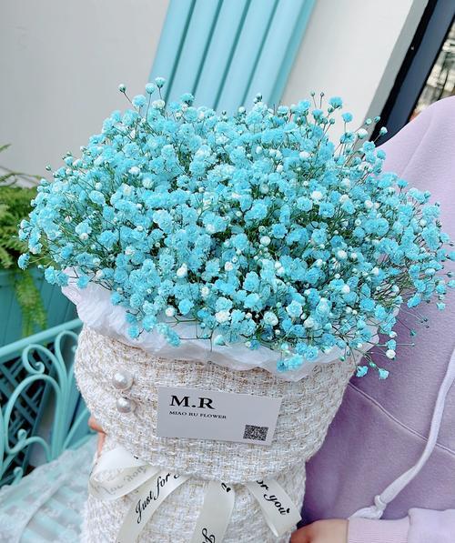 满天星花的神奇传说（追寻爱情与幸福的秘密之花——满天星花的花语与传说）