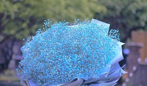 满天星花的神奇传说（追寻爱情与幸福的秘密之花——满天星花的花语与传说）