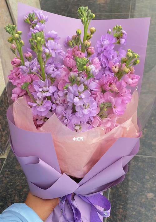 粉色紫罗兰的花语与意义（探寻粉色紫罗兰的深层内涵）