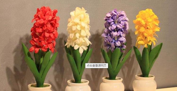 风信子花语（以风信子为媒）