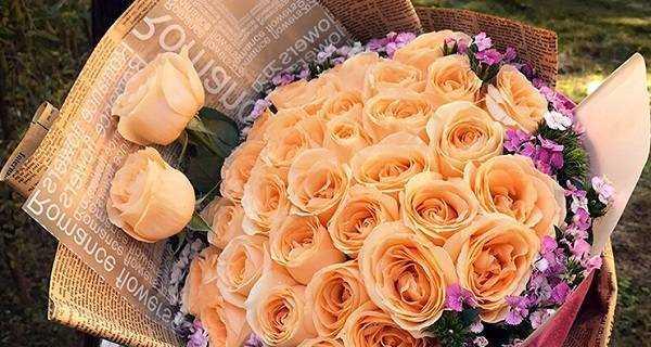 香槟玫瑰花语与寓意（揭秘香槟玫瑰的浪漫花语）