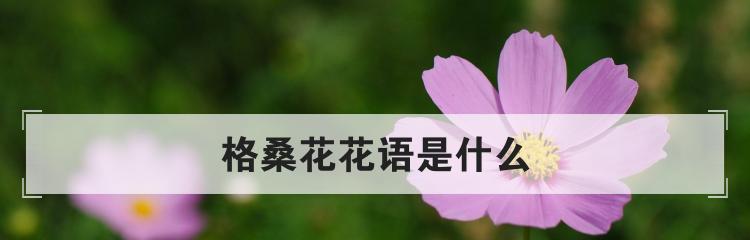 用康乃馨传递爱意的花语表白指南（康乃馨——表白的专属使者）