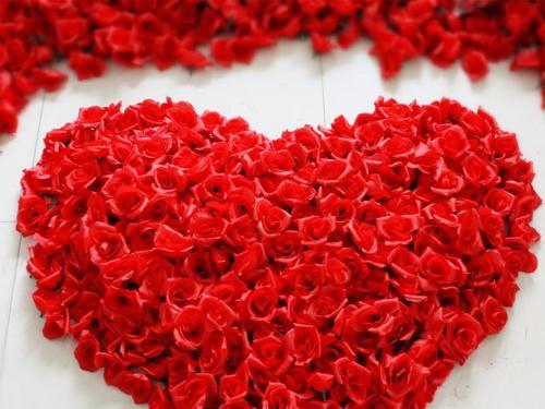 玫瑰花的意义与象征（探寻玫瑰花在不同文化中的多重含义）