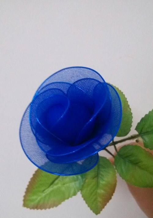 玫瑰花的意义与象征（探寻玫瑰花在不同文化中的多重含义）