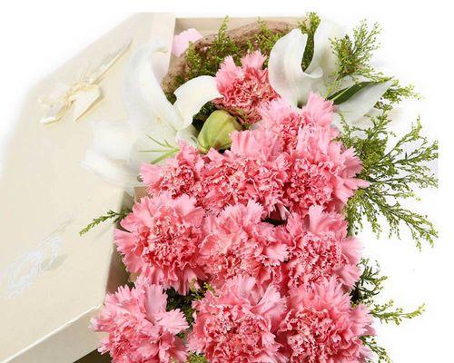 康乃馨的寓意与象征（康乃馨的花语及不同颜色的象征意义）