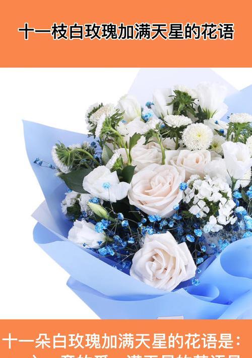白色满天星的花语与象征意义（倾听白色满天星的心声）