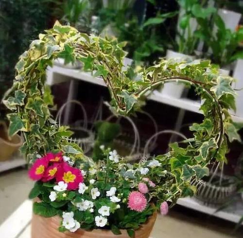 忠诚的花朵——以玫瑰为代表的忠诚（从花朵中看见真诚与忠诚）