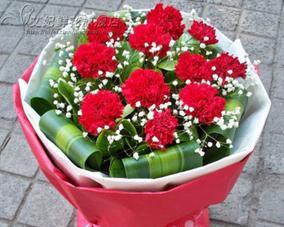 康乃馨花语解读（以送花康乃馨是什么意思）