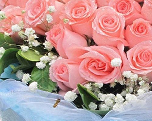 爱的浪漫绽放——99朵粉色玫瑰花的意义（绽放爱情的芬芳）