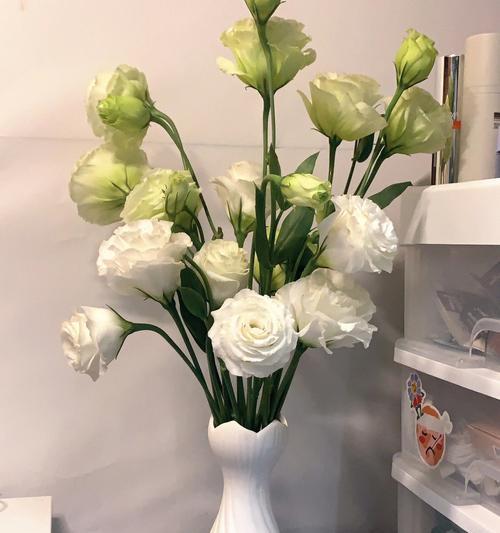 白色洋桔梗的花语（探寻白色洋桔梗花朵所传递的深刻含义）
