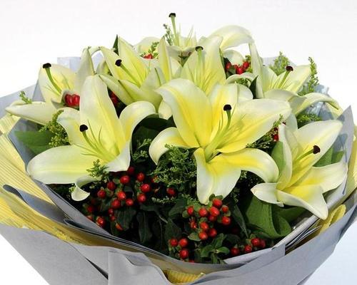 用花语表达感恩之情（以表示感恩的花花语代表感恩的花有哪些）