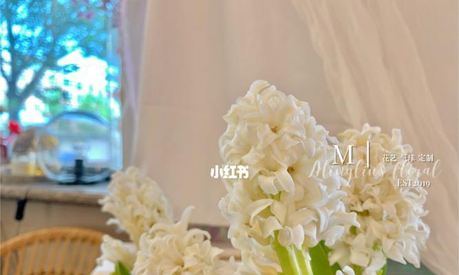 风信子花语（探索风信子的美丽与意义）