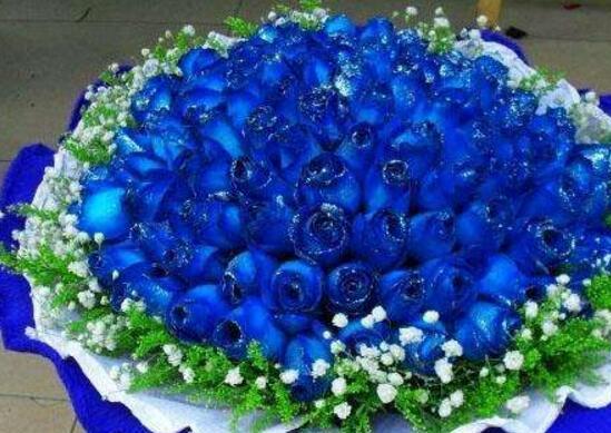 蓝色妖姬的花语是什么寓意？蓝色妖姬代表了哪些特殊含义？