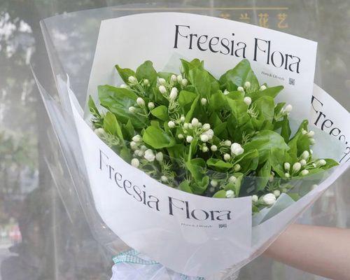 同事生日送什么花最合适？不同场合的花卉选择指南？