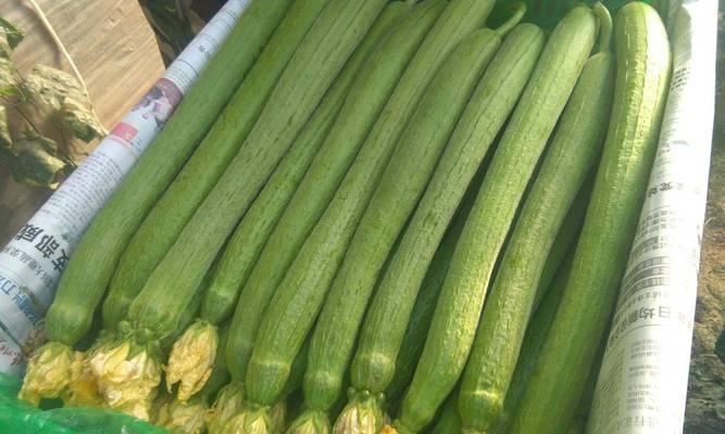 丝瓜有籽能吃吗？食用丝瓜籽的常见问题解答