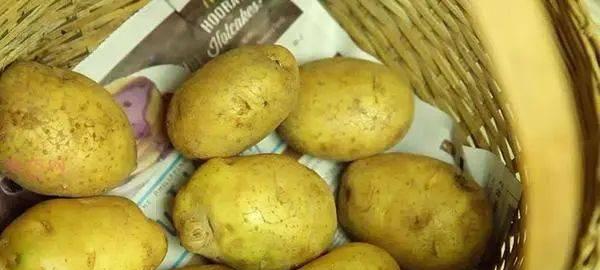 土豆冷冻保存的正确方法是什么？冷冻后会影响口感吗？