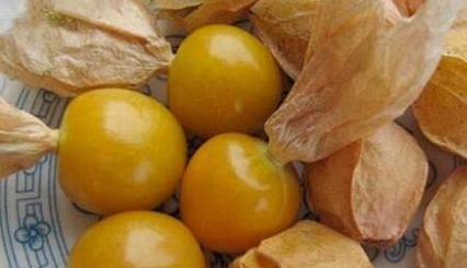 姑娘果的含糖量是多少？是否适合糖尿病患者食用？