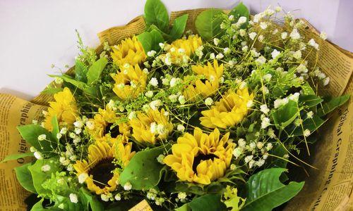 奉献之花（表达无私奉献之美的花卉艺术）