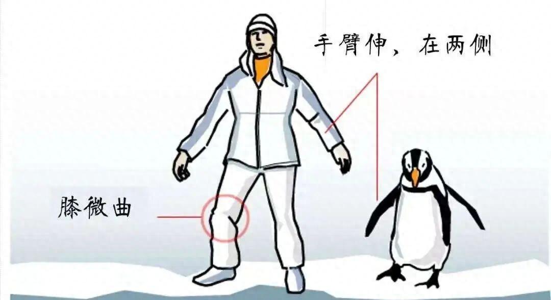 直降12℃！大雪暴雪大暴雪马上到！杭州最新天气预报