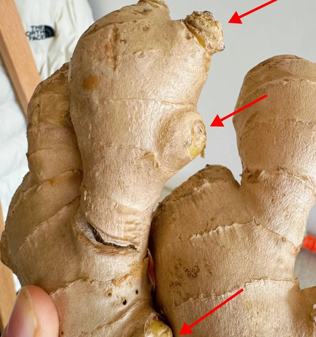 女子在办公桌上“养姜山”，同事纷纷效仿，网友：打开新思路，牛