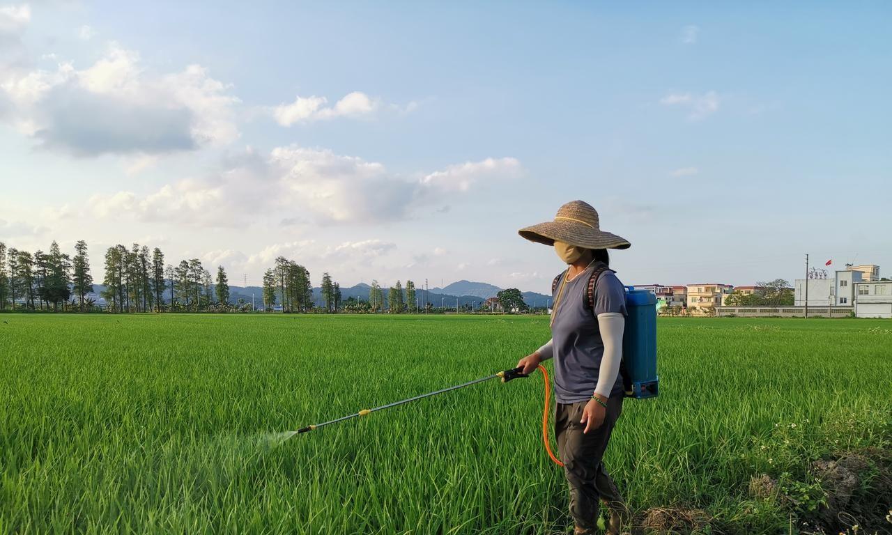 磷酸二氢钾是把双刃剑、用好了效果是真好，用不好就是缺德肥