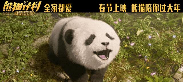 韩寒大战成龙，吴京携手李连杰，今年春节档能破95亿票房纪录吗？