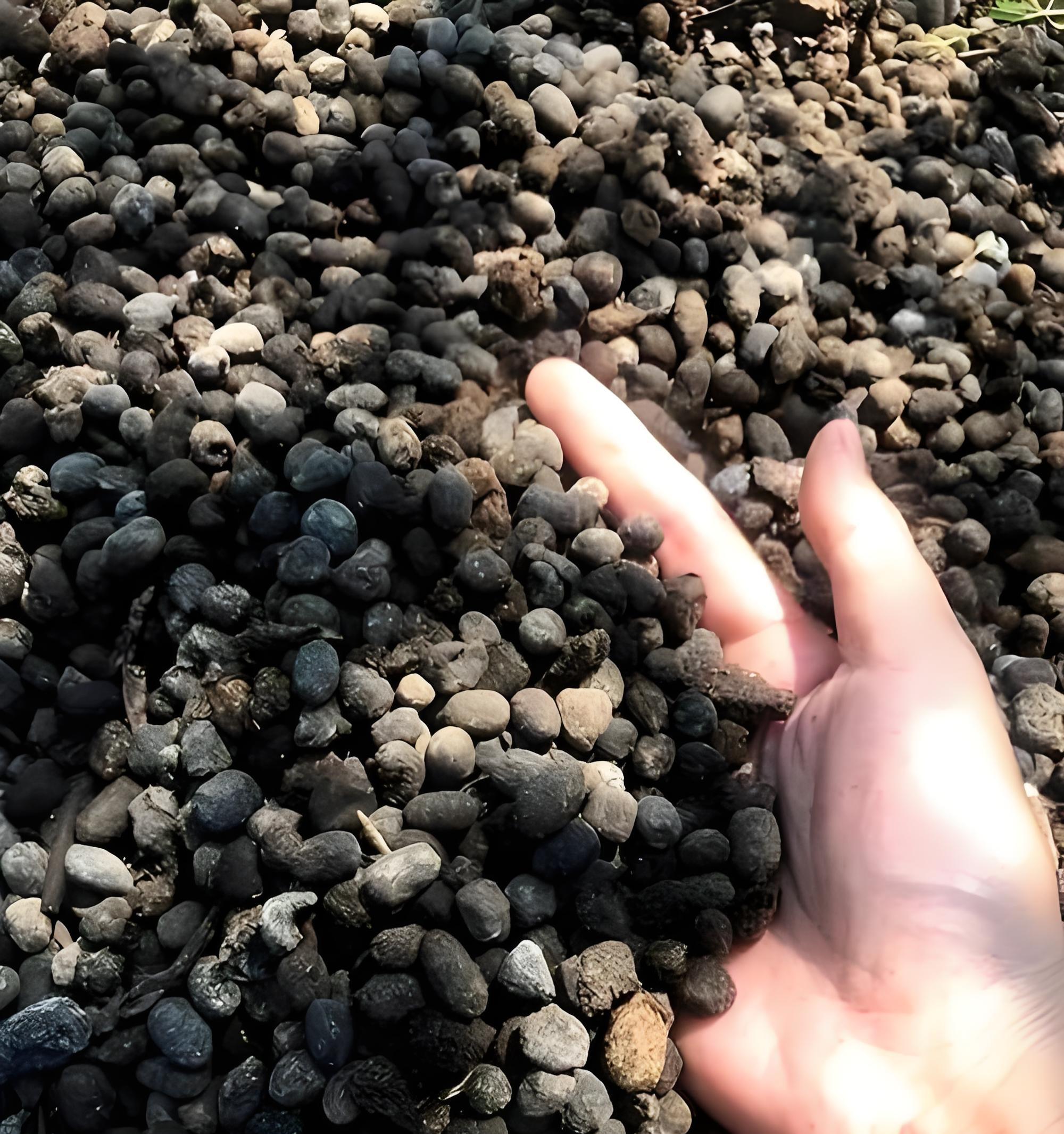 开春用肥别瞎买！这3种“万能肥”家家必备，省钱又高产！