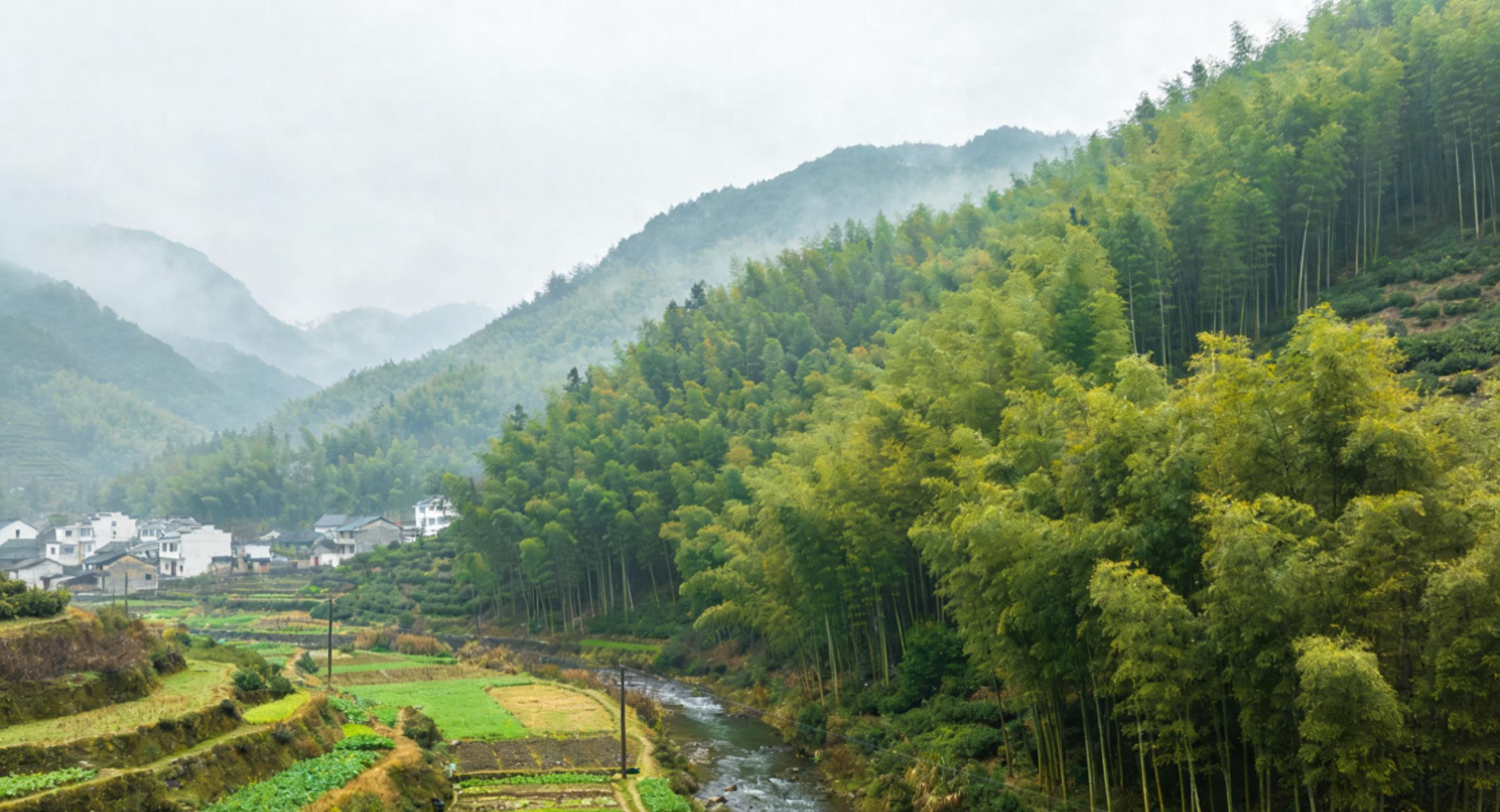坚持适度种菜的人，身体会发生这5个明显变化，你都中了几个？