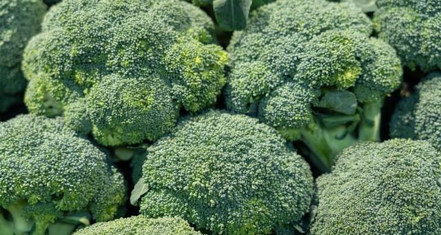 春天这些蔬菜要抢早种，晚了长不好还没产量，这是多年经验和教训