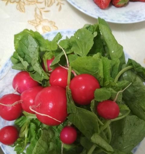 春天这些蔬菜要抢早种，晚了长不好还没产量，这是多年经验和教训