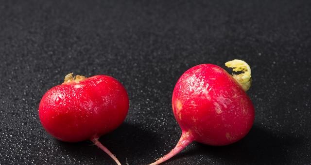 春节后盆栽蔬菜后不用费心管，浇水就长，新手也能种出满满一盆