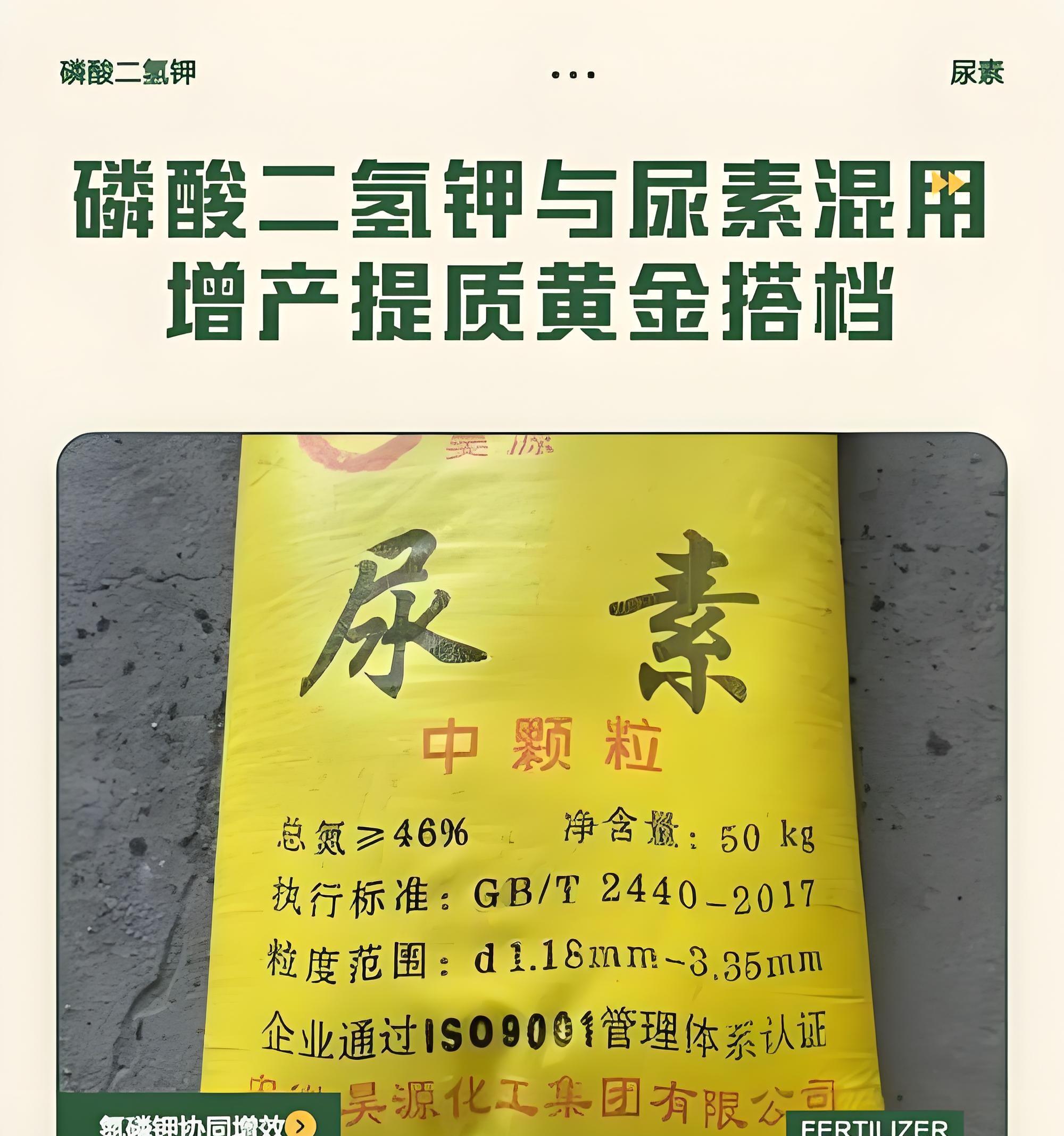 韭菜上什么肥长的又黑又粗壮？老农教你3招，叶子宽厚像皮带！