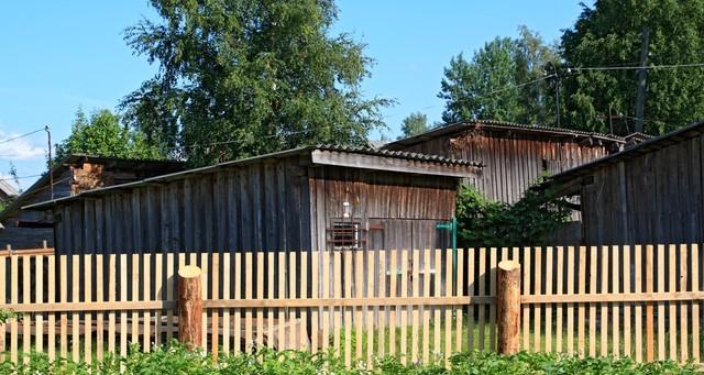 种菜，是远离浮躁，找回自我最好的方式，没有之一