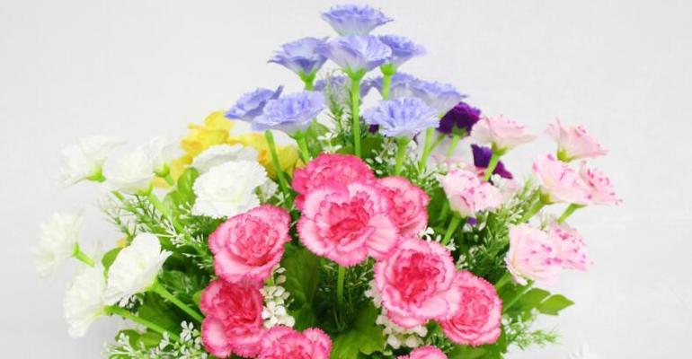 康乃馨花语(解读康乃馨花语)