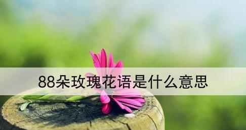 四朵玫瑰的花语传递爱与美(四朵玫瑰代表的深刻含义与情感表达)