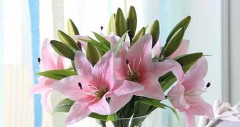 百合花的象征意义及文化传承(寓意高雅纯洁) 百合花的象征意义及文化传承(寓意高雅纯洁)