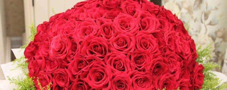 九朵玫瑰花的深意(探索九朵玫瑰花所代表的意义) 九朵玫瑰花的深意(探索九朵玫瑰花所代表的意义)
