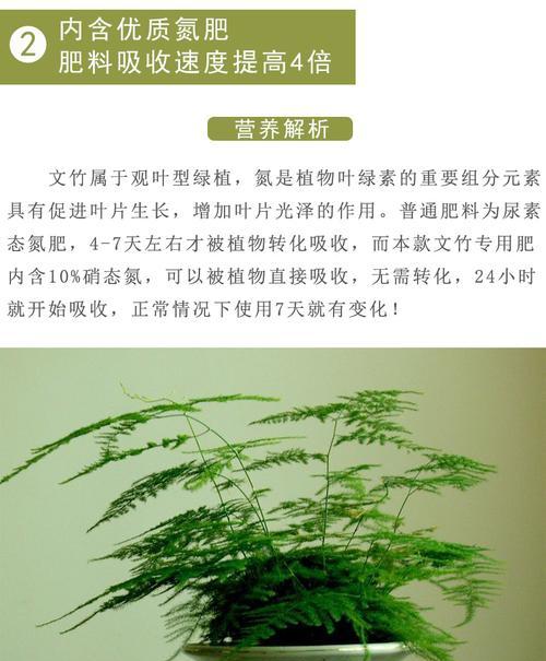 文竹的生长助手——磷酸二氢钾（用磷酸二氢钾）