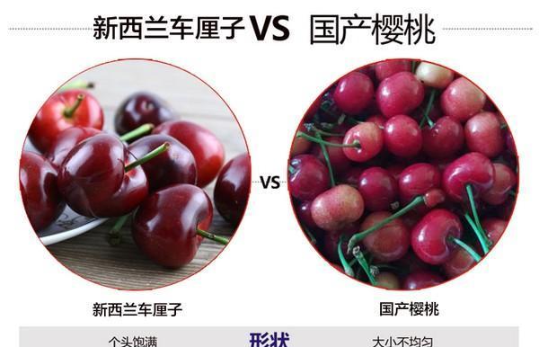 车厘子是碳水化合物吗？——探究车厘子的营养成分（车厘子的主要成分是什么）