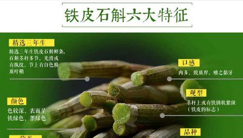 石斛的生长周期是多长时间?(从生长、繁殖到成熟) 石斛的生长周期是多长时间?(从生长、繁殖到成熟)