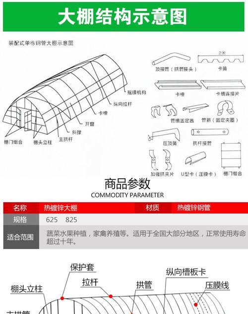 镜面草修剪完全攻略（用正确的方法让你的镜面草更美丽）