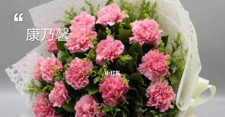 康乃馨花语(康乃馨的深刻含义及其在不同场合的运用)