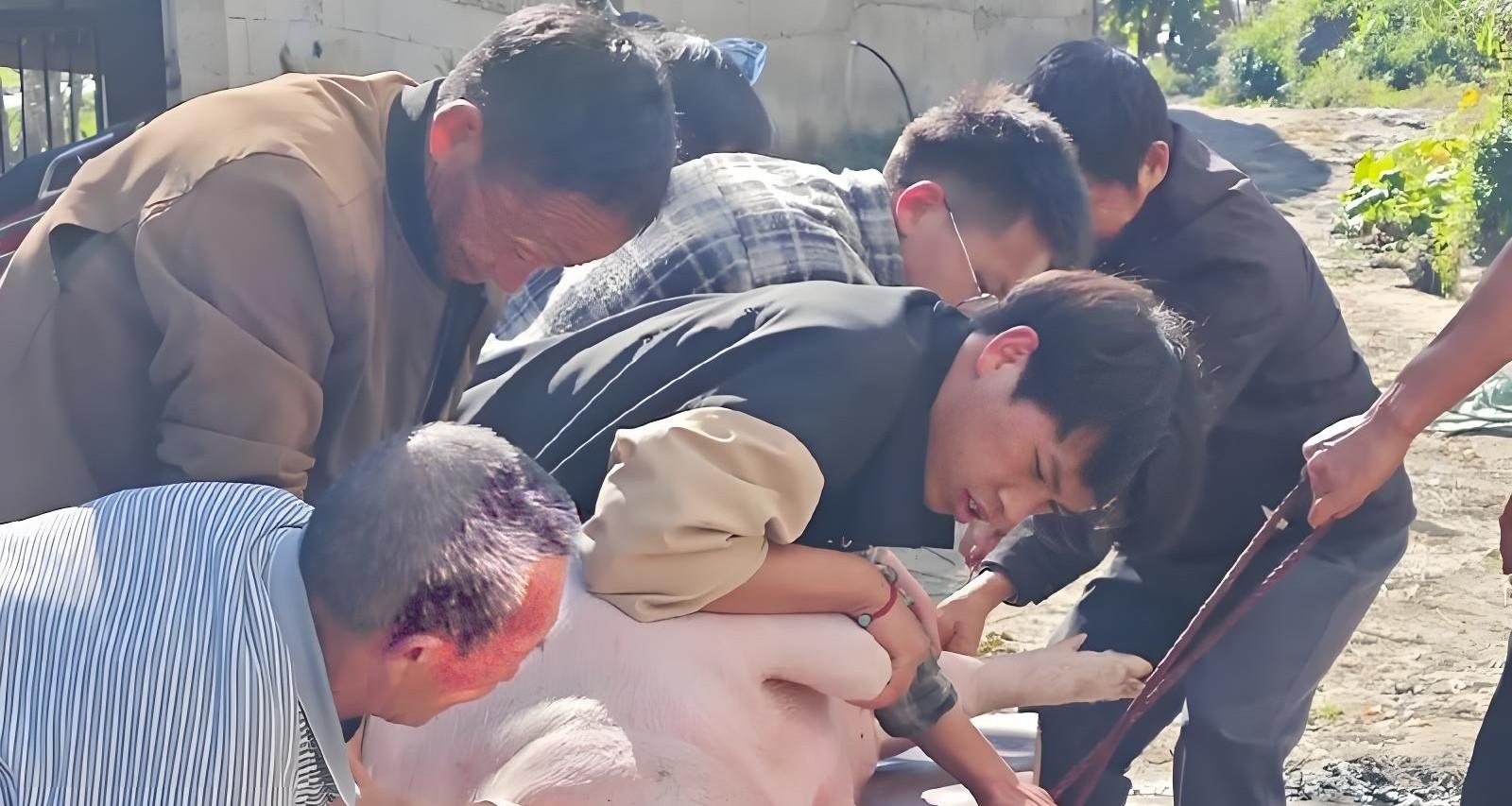 猪价跌破10元大关！这轮“寒冬”还要熬多久？3个信号告诉你真相